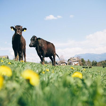 Alpin Farm Linde - Oberweidacherhof Klobenstein Exterior foto