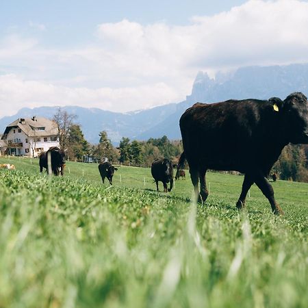 Alpin Farm Linde - Oberweidacherhof Klobenstein Exterior foto